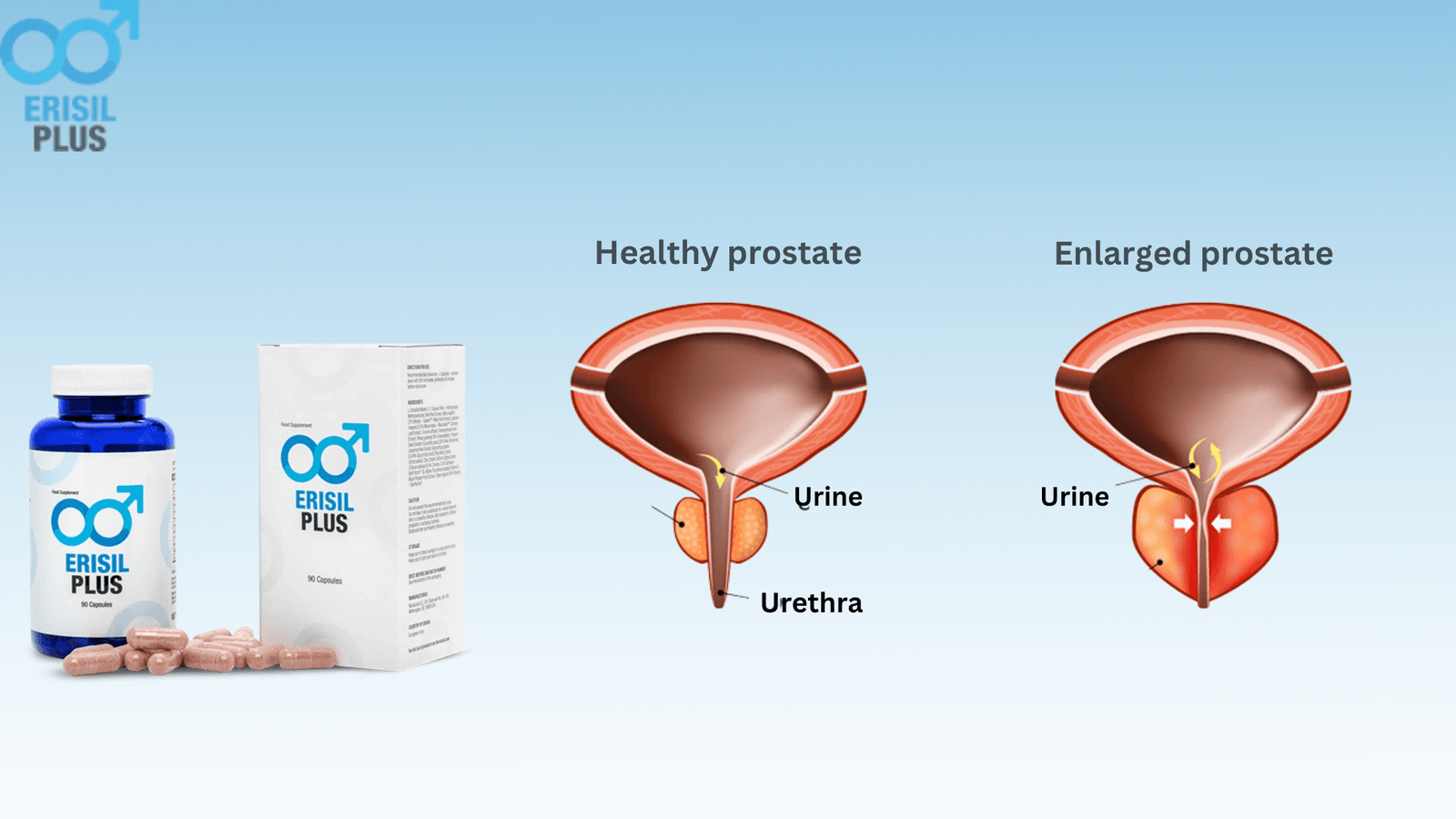 Erisil Plus Benefits