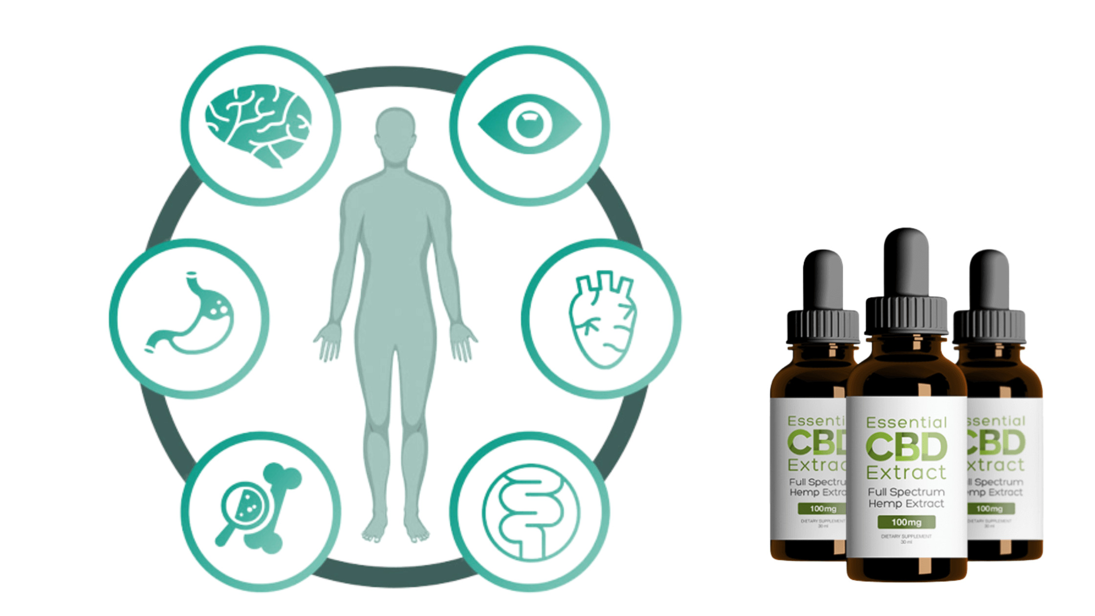 Essential CBD Extract Benefits