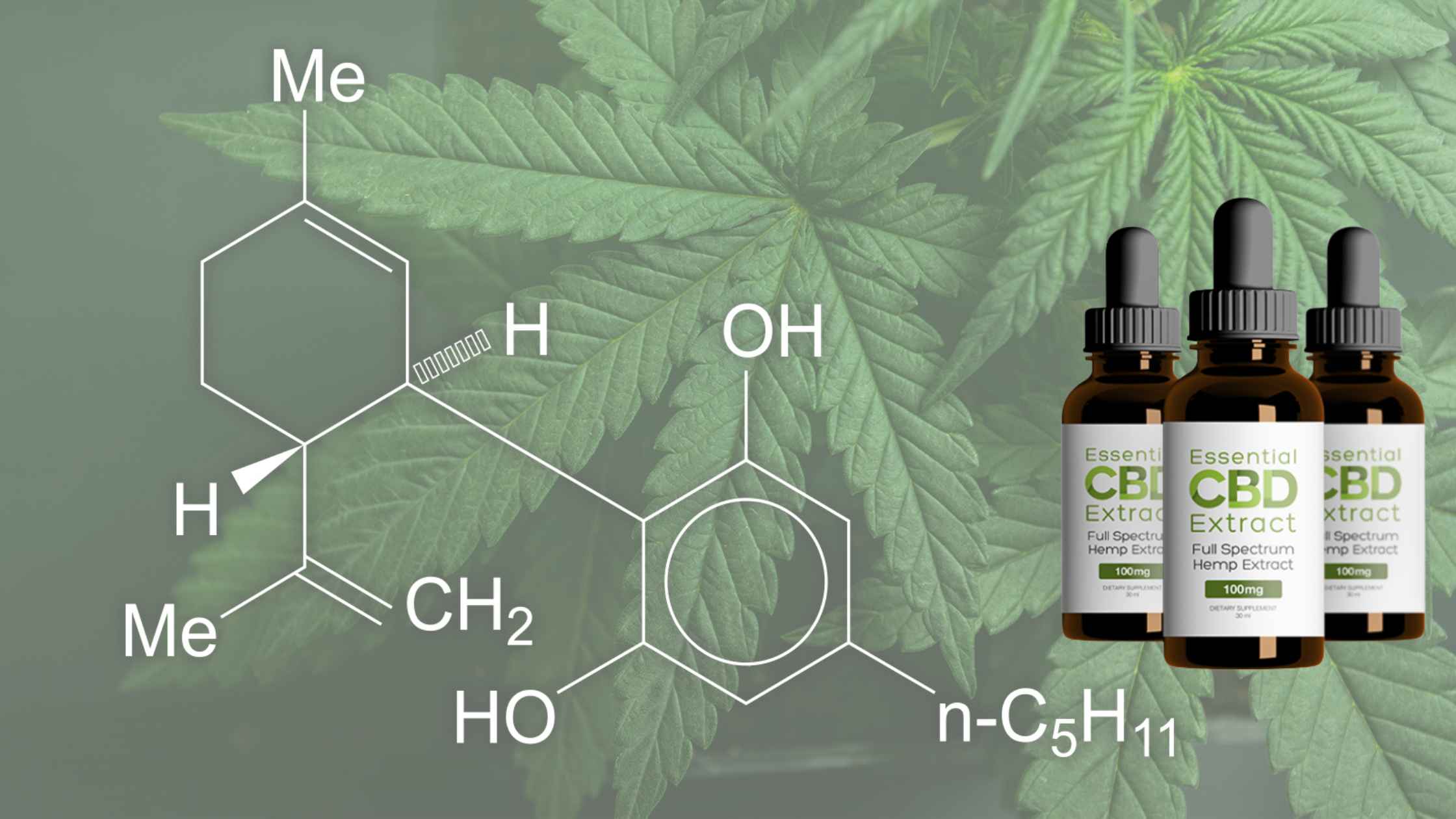 Essential CBD Extract Ingredients