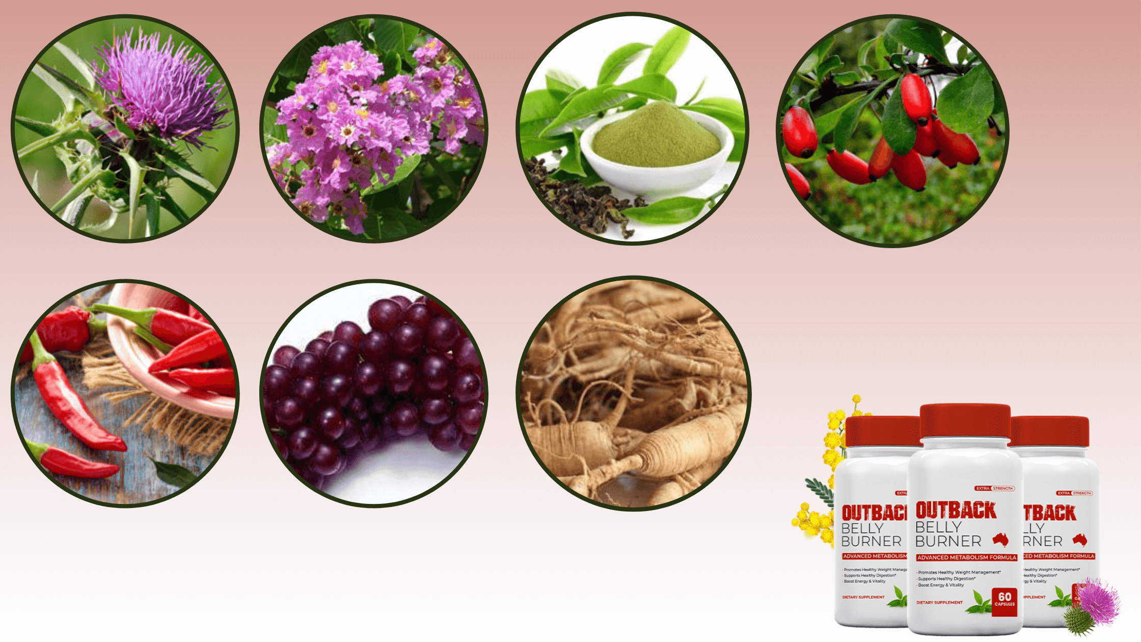 Outback Belly Burner Ingredients