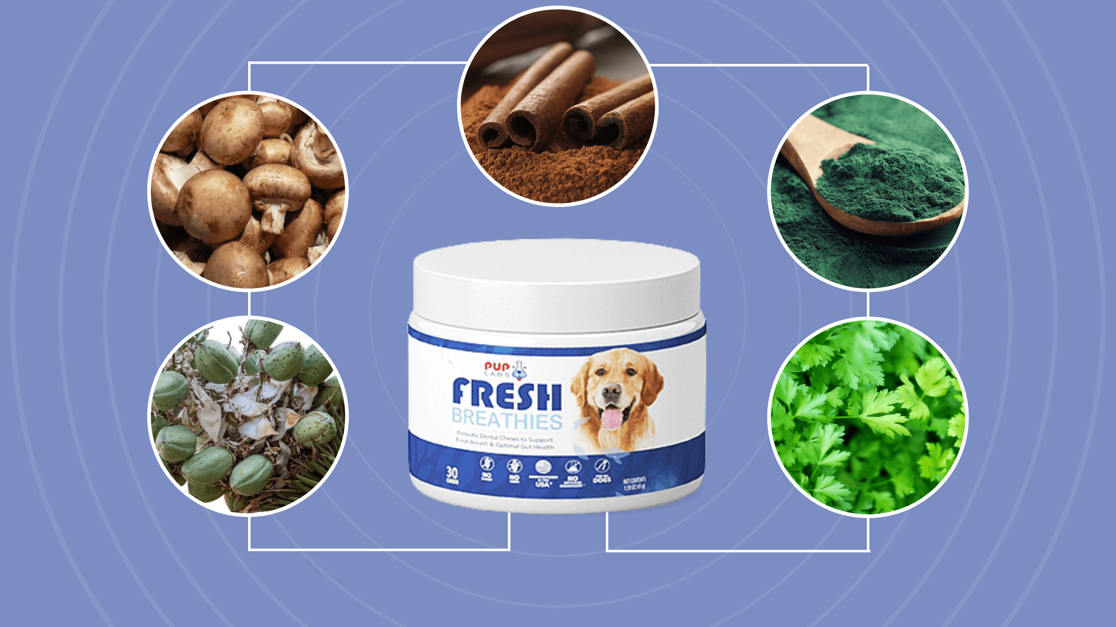 Pup Labs Fresh Breathies ingredients