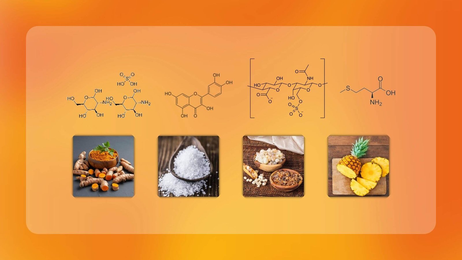 Aktiv Formulations Joint Support Ingredients