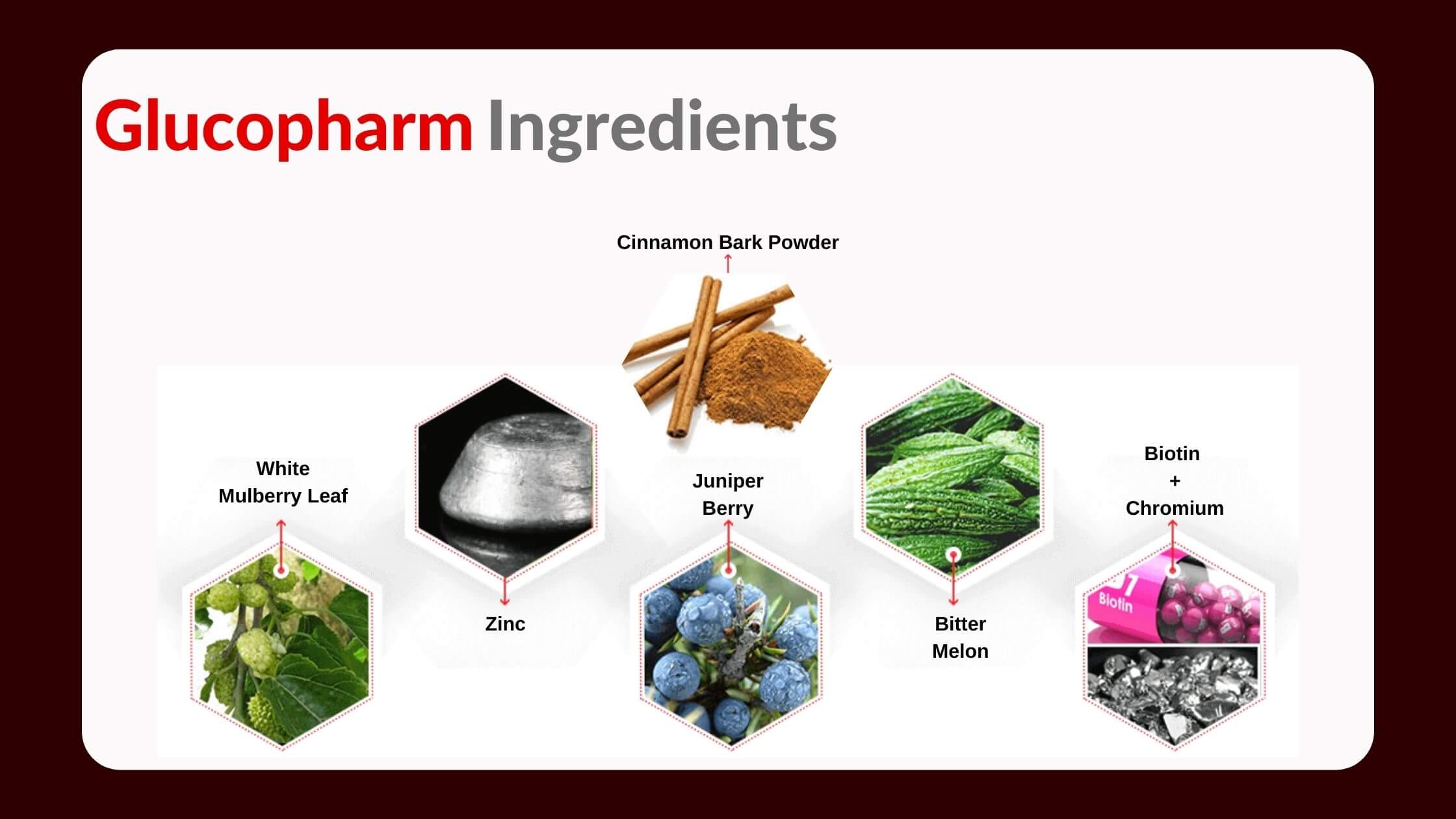 Glucopharm Ingredients