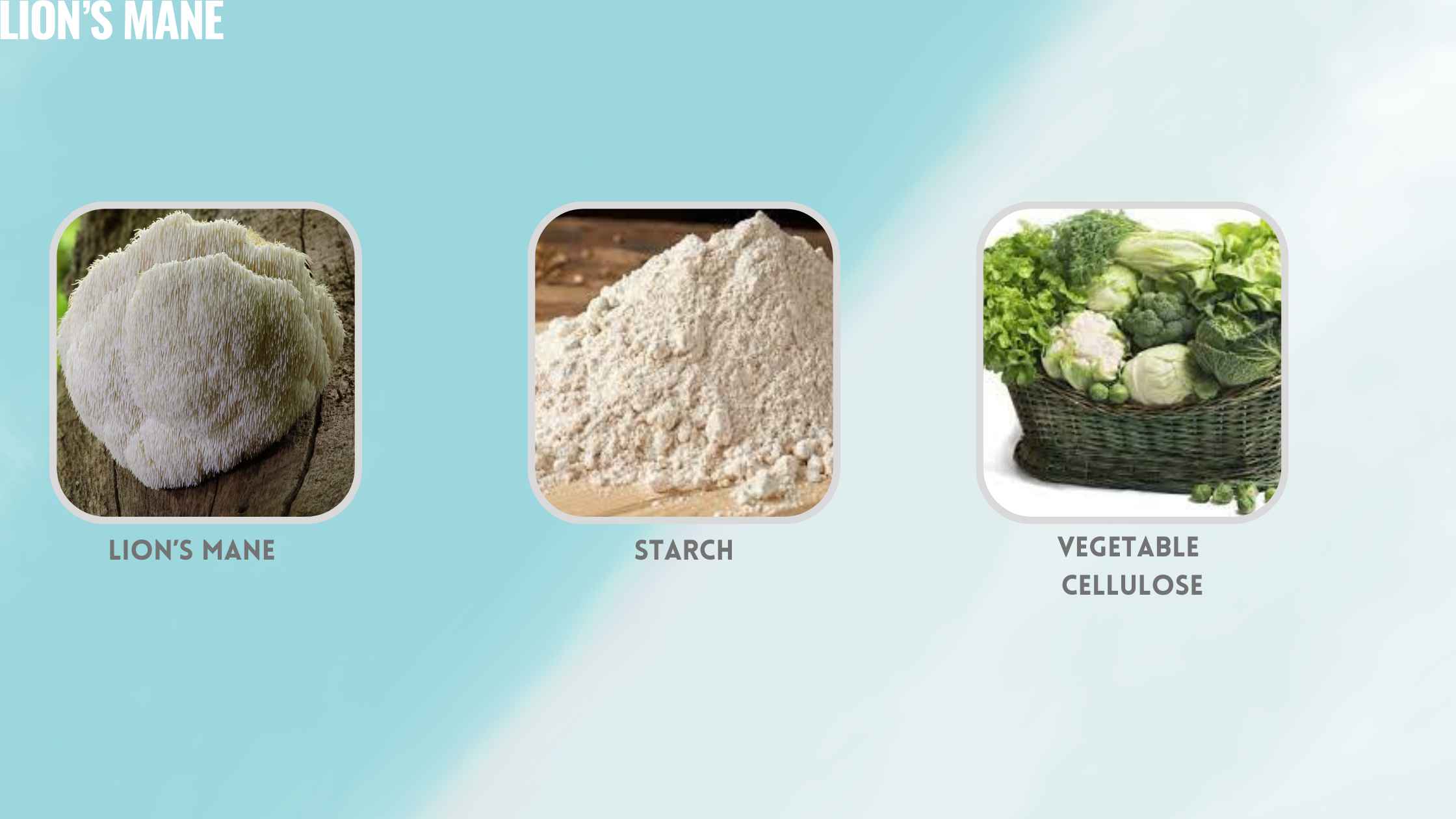 Organic Lion's Mane Gummies Ingredients