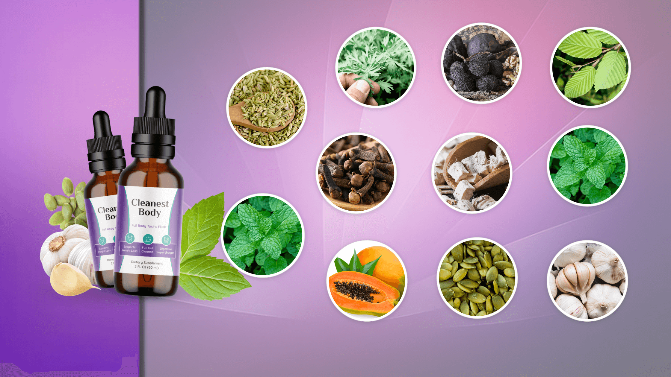 Cleanest Body Ingredients